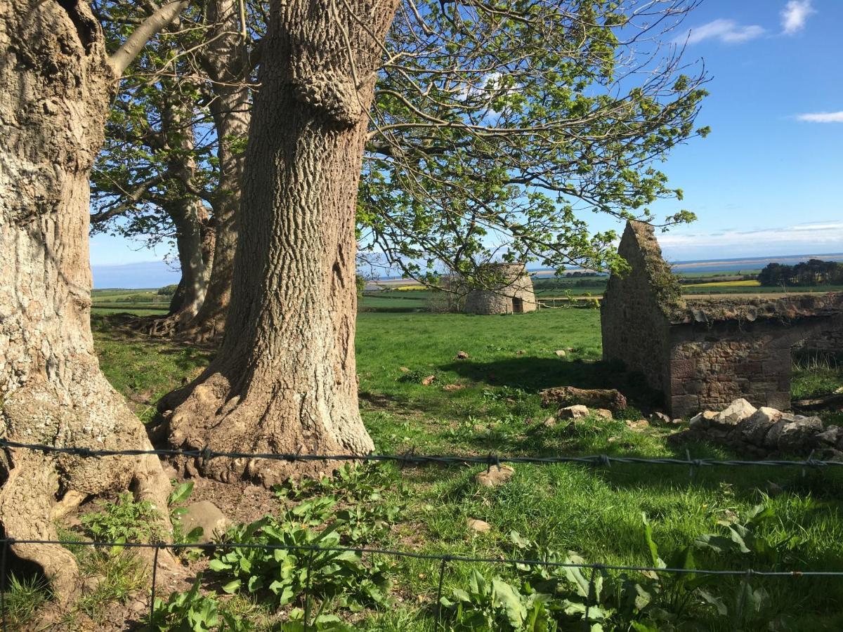Buckton Farmhouse Belford Dış mekan fotoğraf